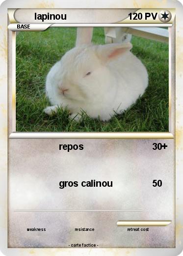 Pokemon lapinou