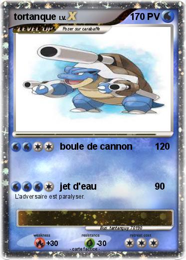 Pokemon tortanque