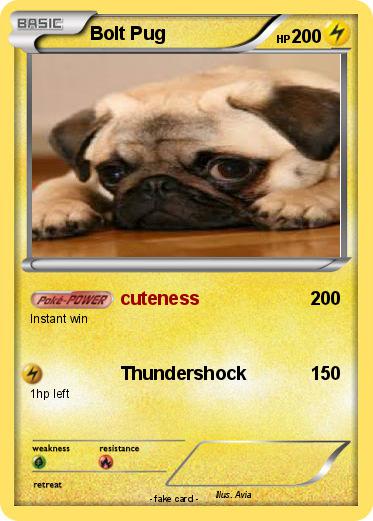 Pokemon Bolt Pug