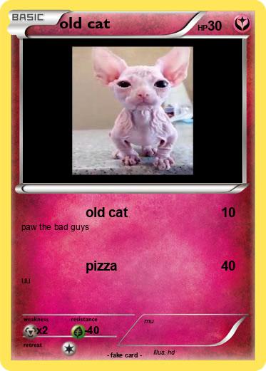 Pokemon old cat