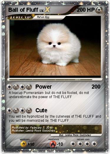 Pokemon Ball of Fluff