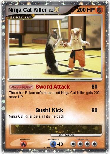 Pokemon Ninja Cat Killer