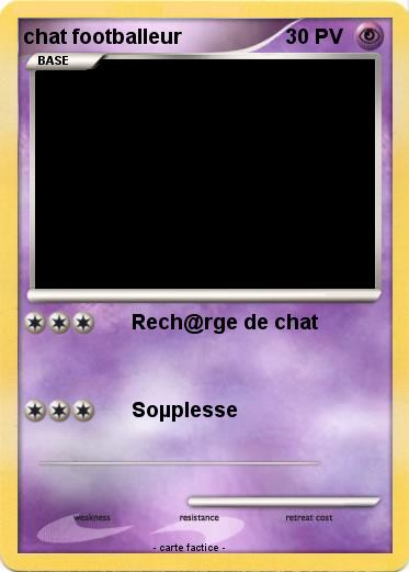 Pokemon chat footballeur