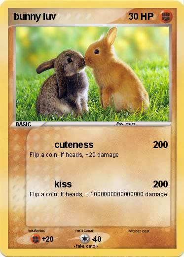 Pokemon bunny luv