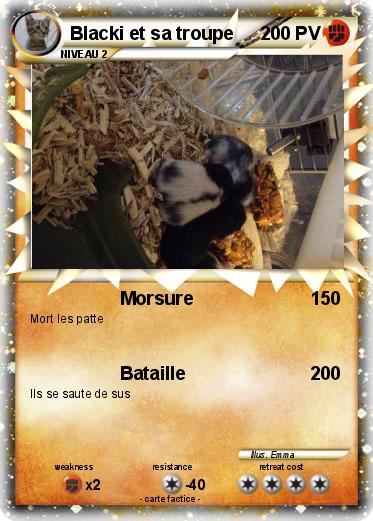 Pokemon Blacki et sa troupe