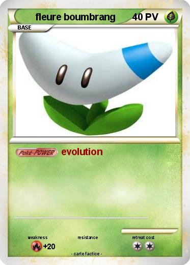Pokemon fleure boumbrang