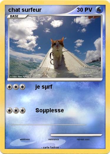 Pokemon chat surfeur