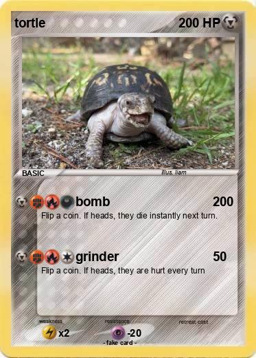 Pokemon tortle