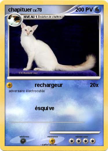 Pokemon chapituer