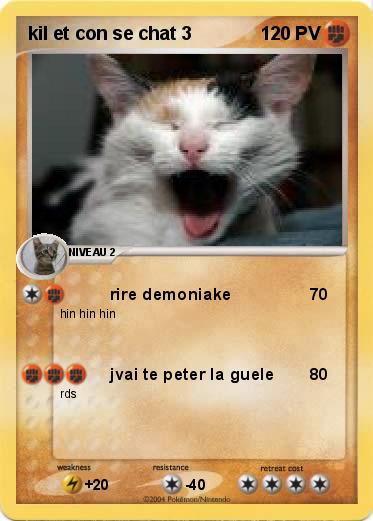 Pokemon kil et con se chat 3