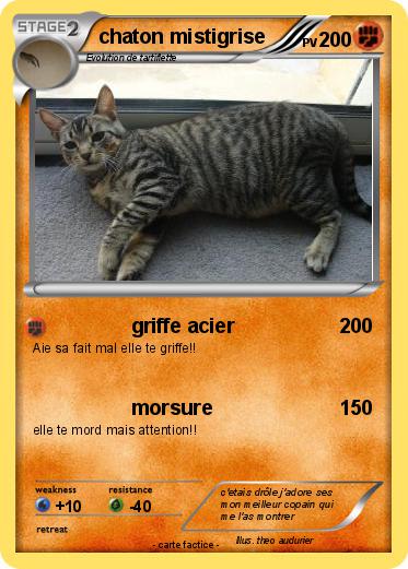 Pokemon chaton mistigrise