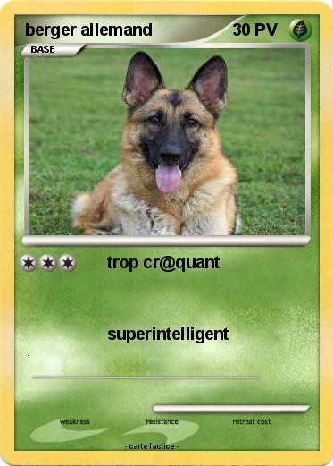 Pokemon berger allemand