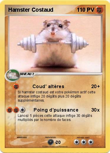 Pokemon Hamster Costaud