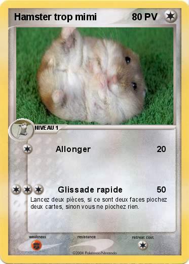 Pokemon Hamster trop mimi