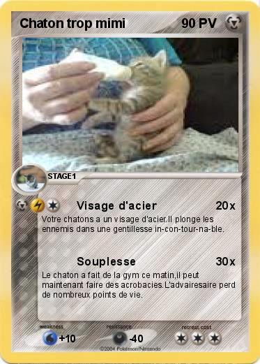 Pokemon Chaton trop mimi