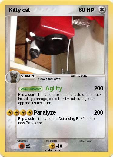 Pokemon Kitty cat
