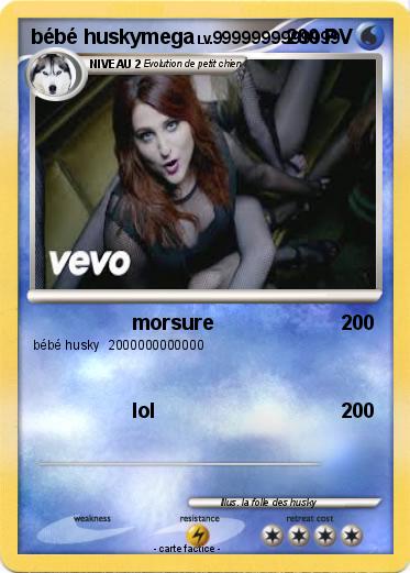 Pokemon bébé huskymega