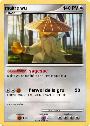 Pokemon maître wu
