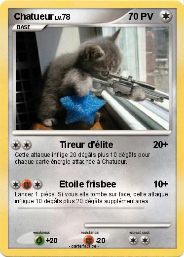 Pokemon Chatueur