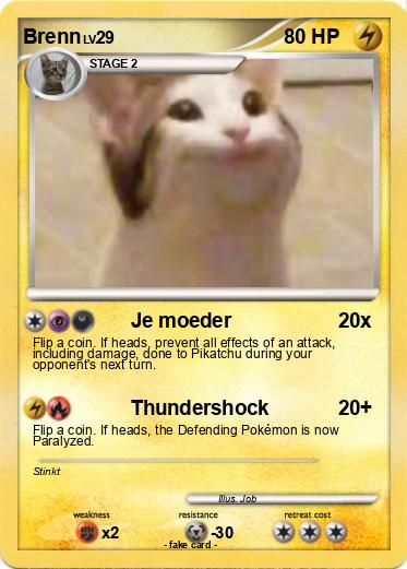Pokemon Brenn