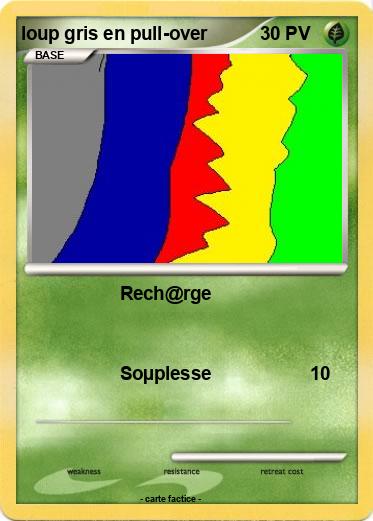 Pokemon loup gris en pull-over