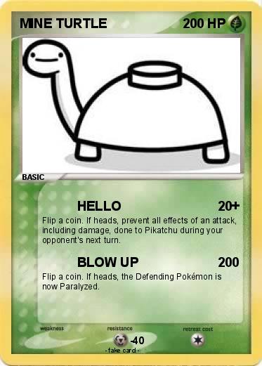 Pokemon MINE TURTLE