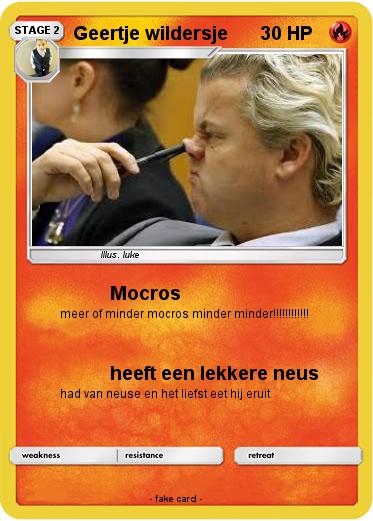 Pokemon Geertje wildersje