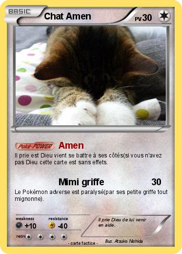 Pokemon Chat Amen