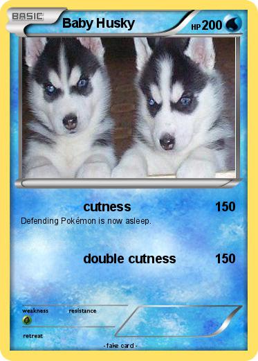 Pokemon Baby Husky