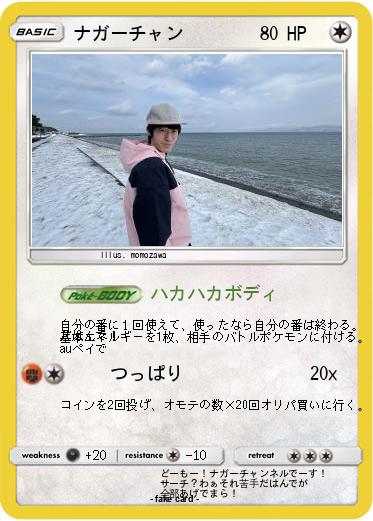 Pokemon ナガーチャン
