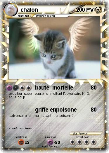 Pokemon chaton