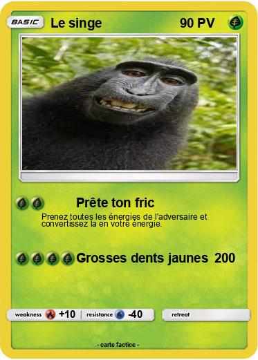 Pokemon Le singe