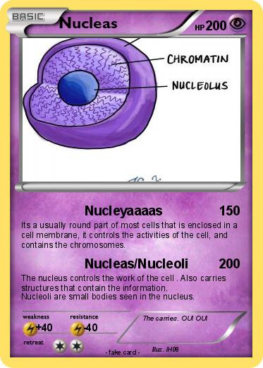 Pokemon Nucleas