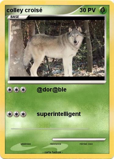 Pokemon colley croisé