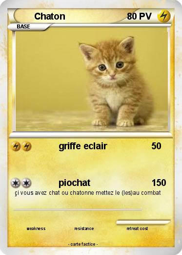 Pokemon Chaton