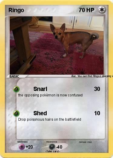 Pokemon Ringo