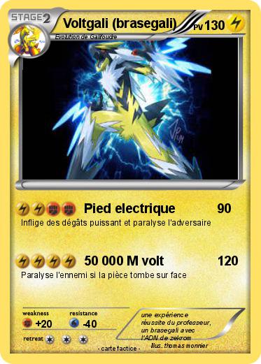 Pokemon Voltgali (brasegali)