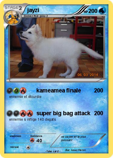 Pokemon jayzi