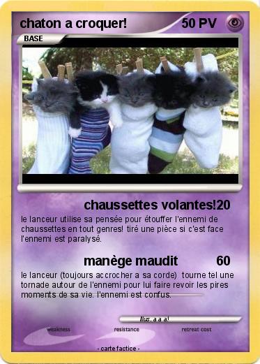 Pokemon chaton a croquer!