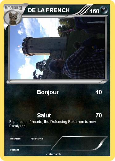Pokemon DE LA FRENCH
