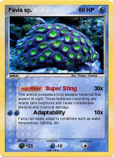 Pokemon Favia sp.