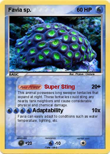 Pokemon Favia sp.
