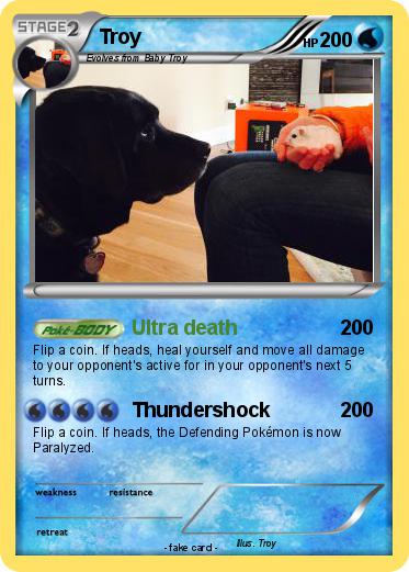 Pokemon Troy