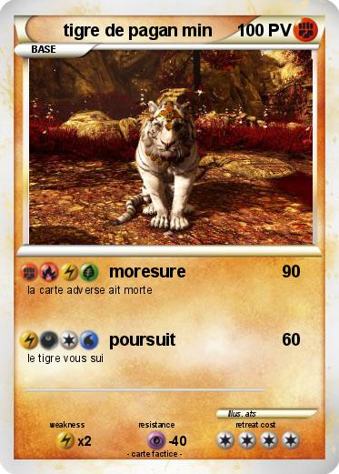 Pokemon tigre de pagan min