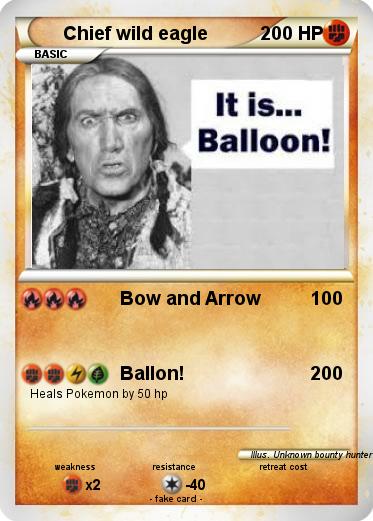 Pokemon Chief wild eagle