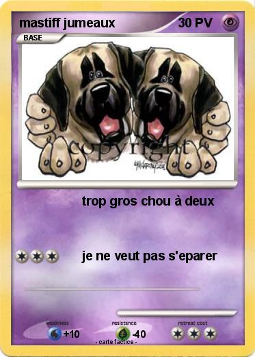 Pokemon mastiff jumeaux