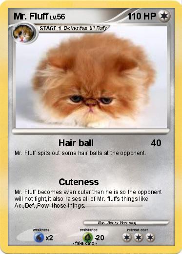 Pokemon Mr. Fluff