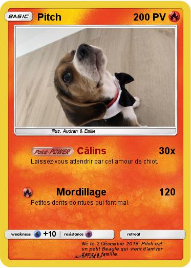 Pokemon Pitch