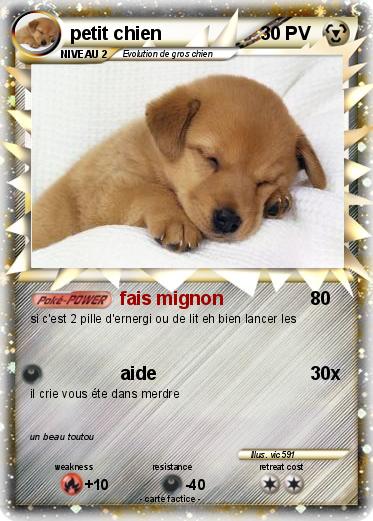 Pokemon petit chien