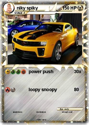 Pokemon niky spiky